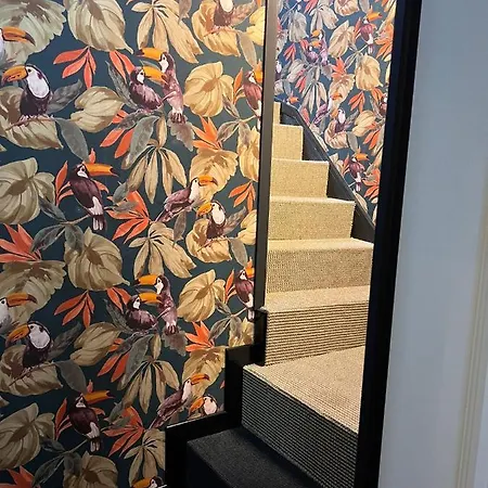 Justcozy Independante #4