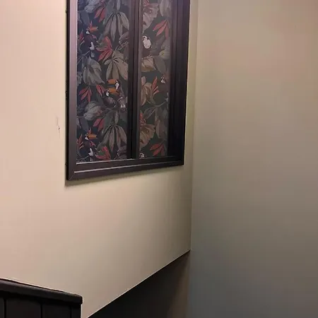 Justcozy Independante #4 * ליל