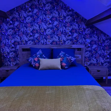 Justcozy Indépendante #4 *