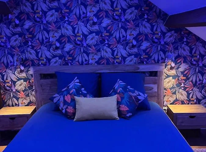 Justcozy Independante #4 里尔