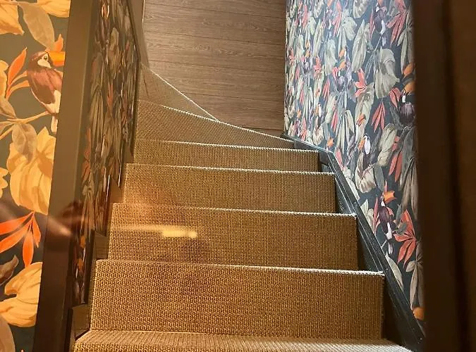 Justcozy Indépendante #4